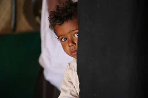 Marib: Health needs grow in what was considered the safe haven of Yemen